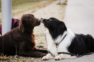 Xandro und seine Freundin Eileen 